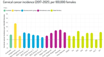 c4-report-2025